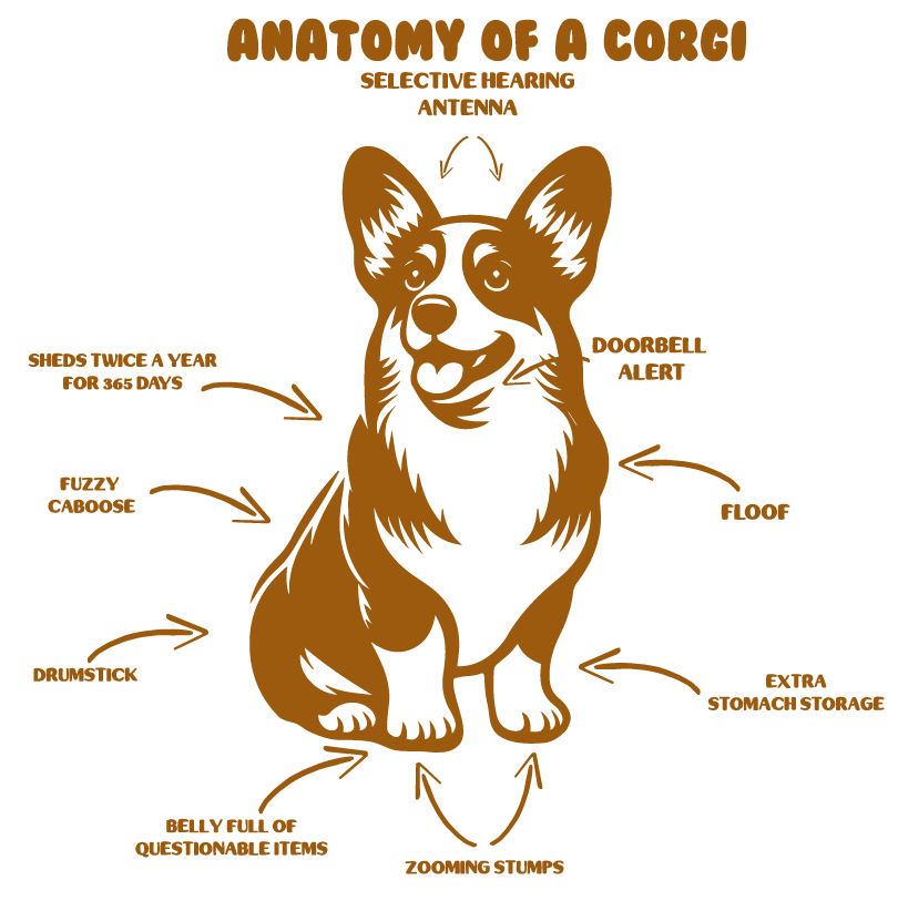 Anatomy of a Corgi Kids Tee