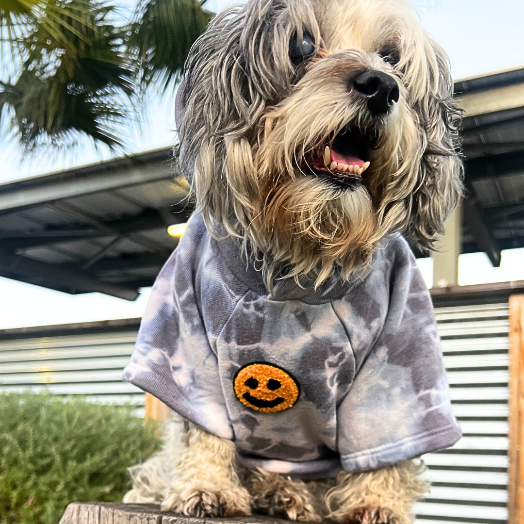 To Dye Fur Hoodie Match My Pup | Wag City Clothing Shop