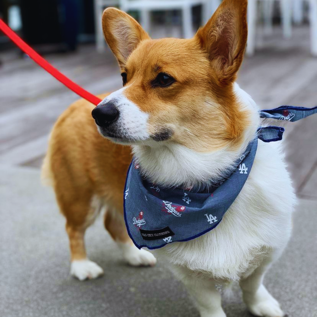 Dodgers dog bandana hot sale