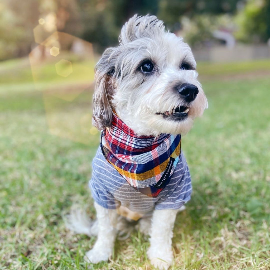 Fall into Flannel Dog Bandana